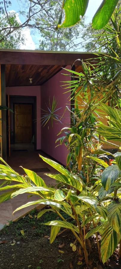 Ciudad Perdida Ecolodge Кауита Экстерьер фото
