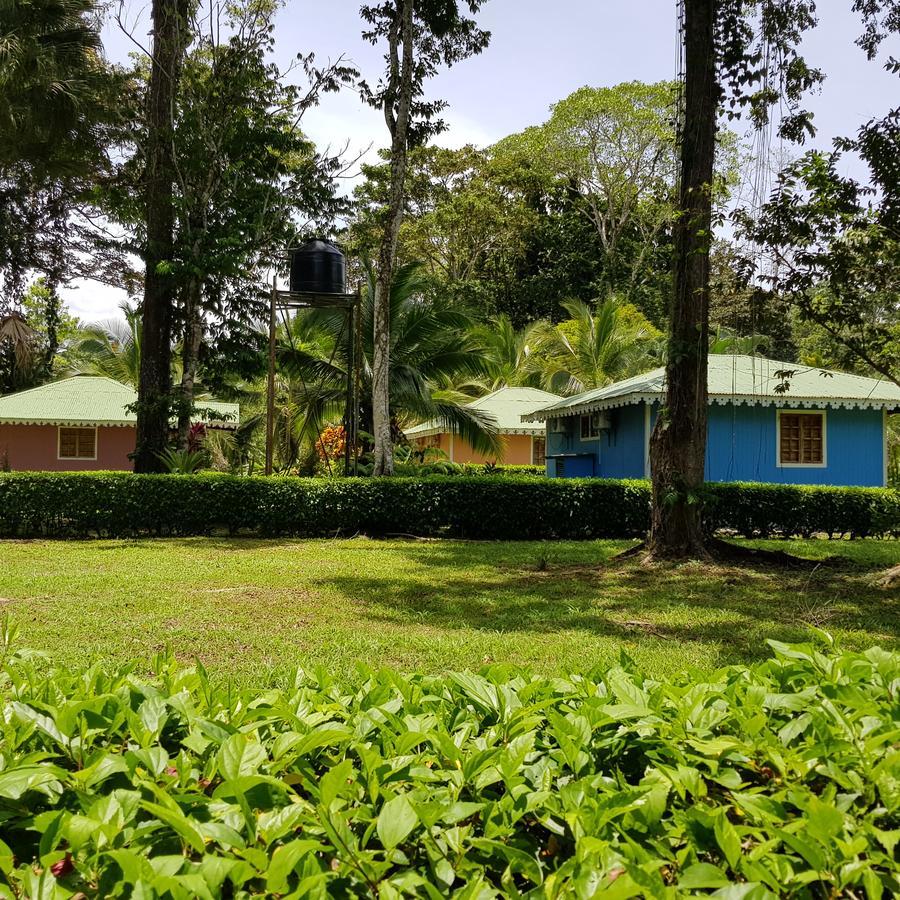 Ciudad Perdida Ecolodge Кауита Экстерьер фото